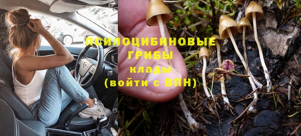 спайс Елизово