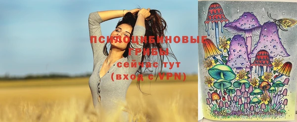 спайс Елизово